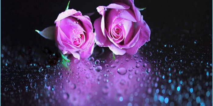 1396x1241 Cute Beauty Wallpapers - Top Free Cute Beauty Backgrounds - Beautiful Cute  Wallpaper | Neat