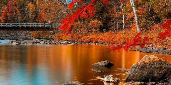 1080x1920 Hd Portrait Wallpapers 1080P | Design Corral