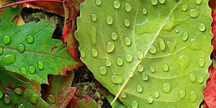 736x1308 Full Screen Beautiful Wallpapers For Mobile - 736x1308 Wallpaper - teahub.io