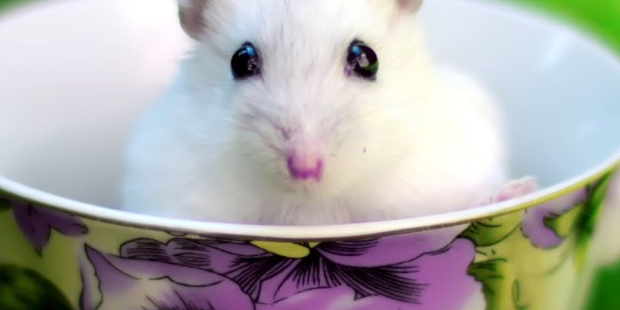 1080x1920 48+ Beautiful Wallpapers for Mobile Phone