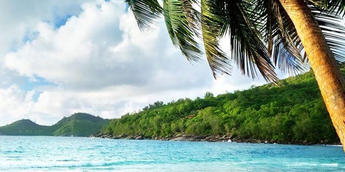 720x1280 Hd Beach Wallpapers Portrait - 506x900 - Download HD Wallpaper -  WallpaperTip