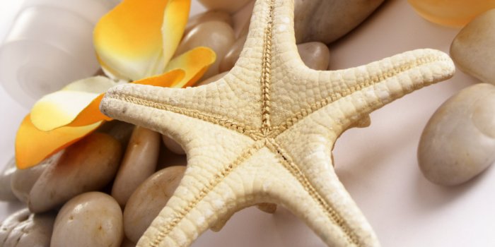 1920x1200 Beautiful Wallpapers 9473 1920x1200px