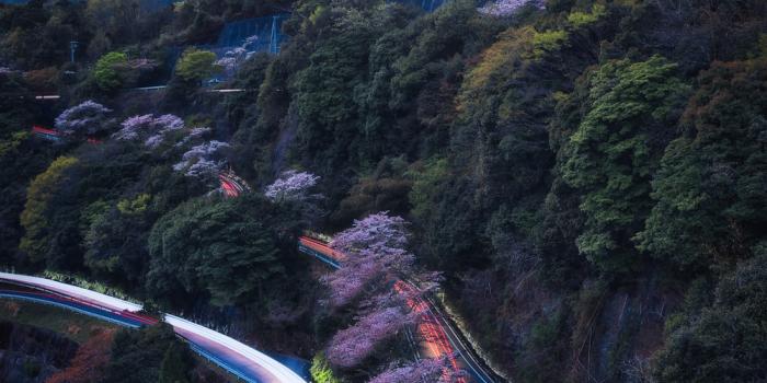 1000x1499 Portrait Wallpapers | 100+ best free wallpaper, grey, architecture and  building photos on Unsplash