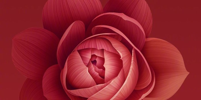 960x1920 Xiaomi MI 6X Stock Wallpapers HD