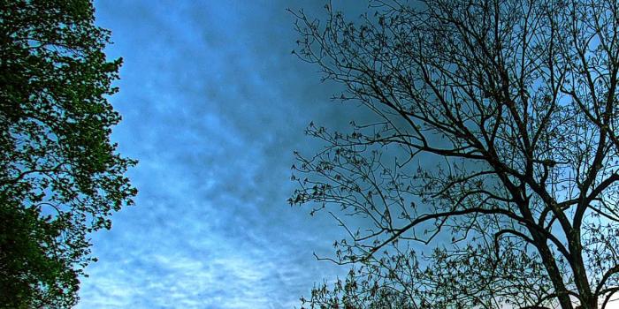 1200x1900 HD Wallpapers Portrait Group (47+)