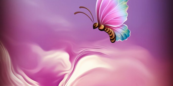 1242x2688 Roses&Butterflies | Butterfly wallpaper backgrounds, Flowery wallpaper,  Flower phone wallpaper