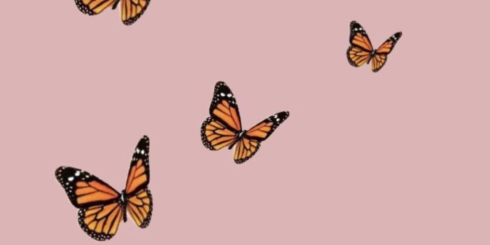 828x1472 Aesthetic Butterfly Wallpapers