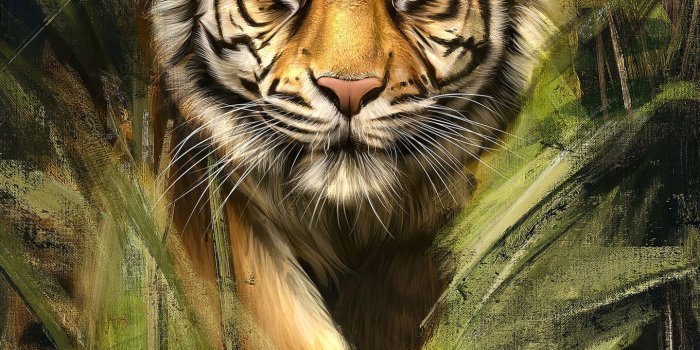 1440x2560 Tiger Painting Art, HD Animals Wallpapers Photos and Pictures ID#44969 |  Tiger painting, Tiger pictures, Tiger artwork