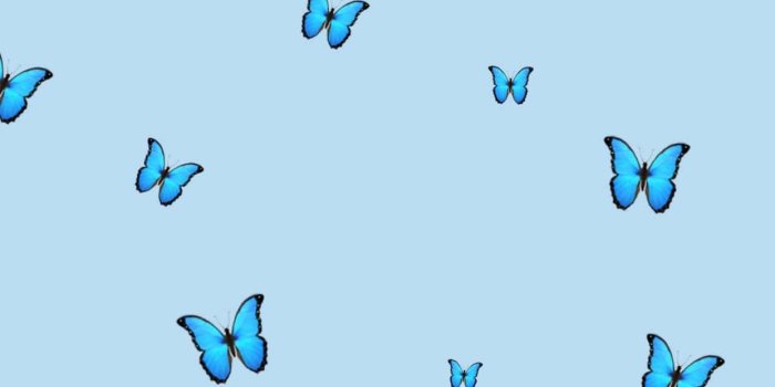 1242x2208 Blue Butterfly Wallpaper - EnJpg