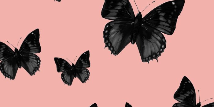 1242x2208 Butterflies Wallpaper (39+ best Butterflies Wallpaper and images) on  WallpaperChat