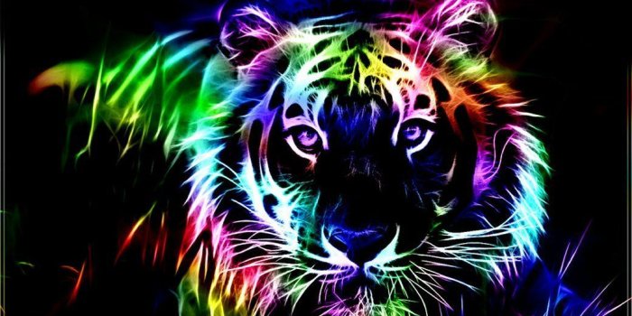 1040x780 Rainbow Animals Wallpapers - Top Free Rainbow Animals Backgrounds -  WallpaperAccess