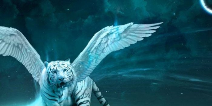 1280x720 Wild Animal Wallpapers, Animal Kingdom, Free Wallpapers, - Wild Wallpaper  Animals - 1280x720 Wallpaper - teahub.io