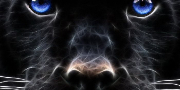 1280x1024 Epic Animal Wallpapers Group (56+)