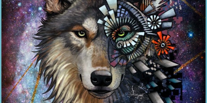 1047x1863 Galaxy Animals Wallpapers - Cool Animal Wallpapers | Neat