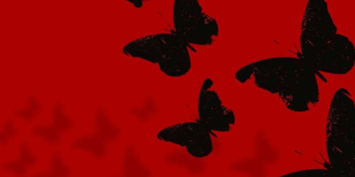 1080x1920 Red Butterflies Wallpaper posted by Sarah Johnson