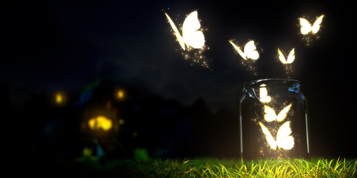 1920x1080 Beautiful Butterflies Wallpaper #7007450