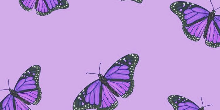 750x1125 Aesthetic Purple Butterfly Wallpapers
