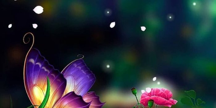 1080x1350 Fantasy Butterflies Backgrounds - 1080x1350 Wallpaper - teahub.io