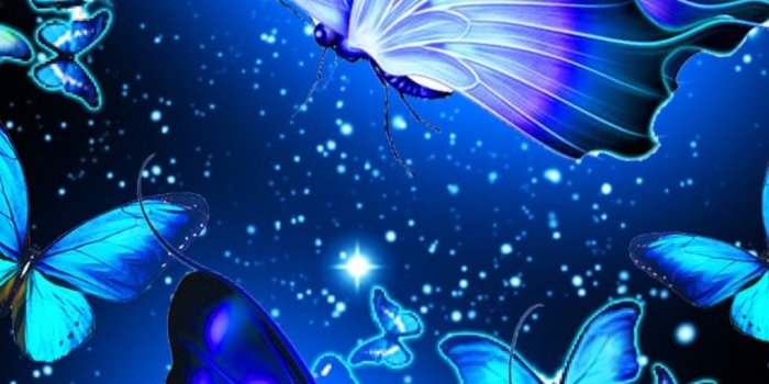 1080x2220 Pin on Butterfly / Dragonfly / Bee Ect Wallpaper 3