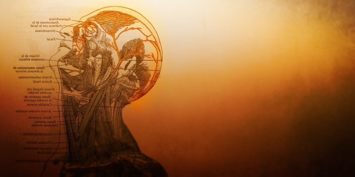 1920x1080 Medical Backgrounds Hd Medical Desktop Backgrounds - Medicine Wallpaper 4k  - 1920x1080 Wallpaper - teahub.io