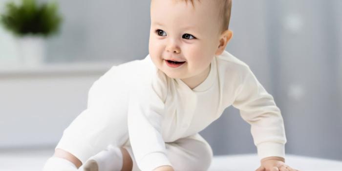 1024x768 Wallpaper | HD Wallpapers | Ultra HD 4K Wallpapers for Desktop & Mobiles |  Santa Banta