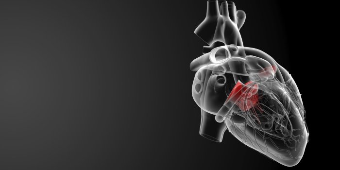 2076x1200 Backgrounds Medical Hd Best Free Medicine Wallpapers - Medicine Wallpaper  Hd - 2076x1200 Wallpaper - teahub.io