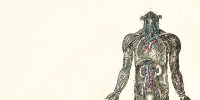 1680x1050 Medical Wallpapers ( Desktop Background