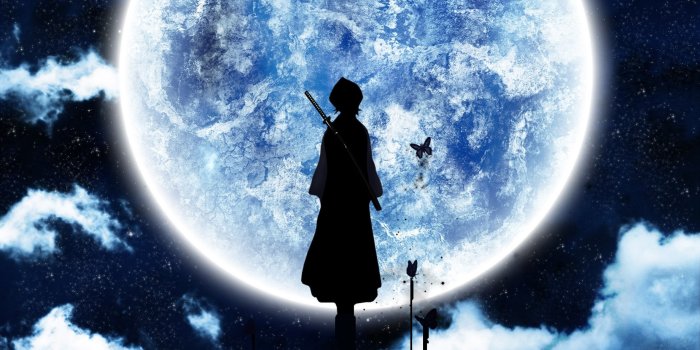2560x1600 4550698 #Kuchiki Rukia, #Moon, #silhouette, #Bleach, wallpaper | Mocah HD  Wallpapers