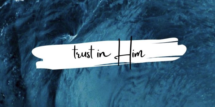 900x1920 Pin on Wallpapers