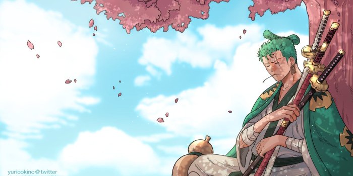 1920x1080 Wano Wallpapers - Top Free Wano Backgrounds - WallpaperAccess | Uhd  wallpaper, Cool anime wallpapers, Anime wallpaper