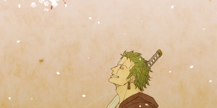 800x1400 Zoro Wallpaper - 800x1400 Wallpaper - teahub.io