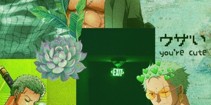 1080x1996 Zoro Aesthetic Wallpapers