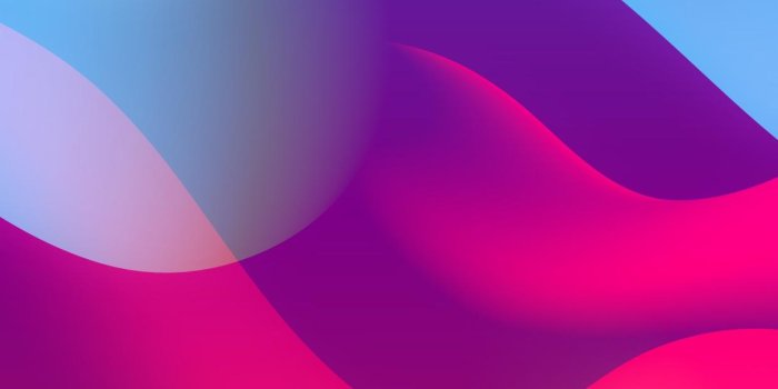 1242x2688 All Color Wallpapers