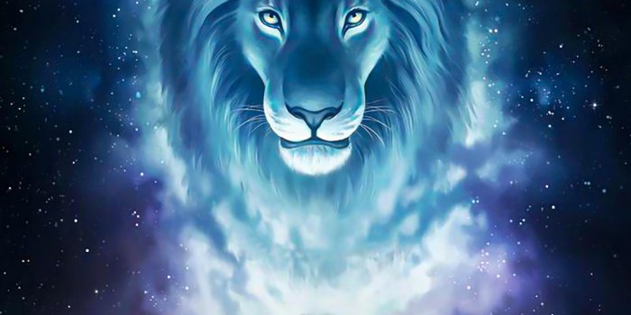 1080x1920 Free Mirror of the King Wallpaper For Your Phone