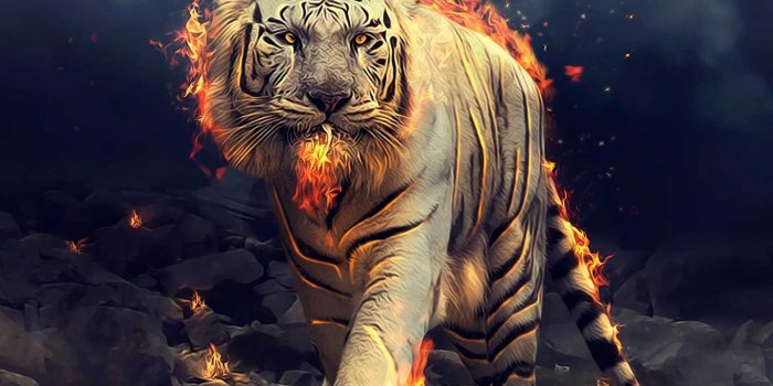 1440x2560 Tiger Wallpaper - KoLPaPer - Awesome Free HD Wallpapers