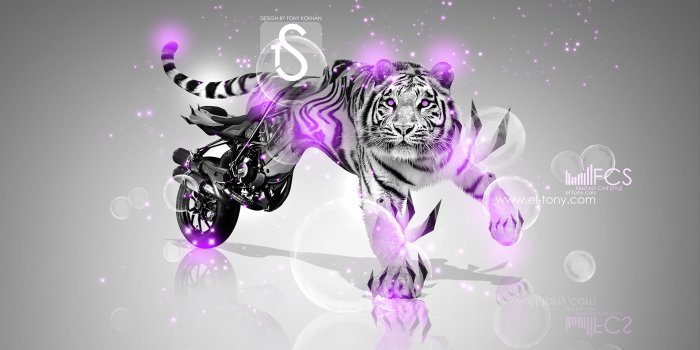 1920x1080 61+ Neon Tiger