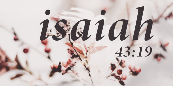 1080x1920 Free Christian Wallpapers: Christian Quote, Bible Verse – 4319.CO