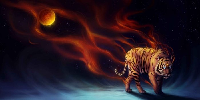 1920x951 52 Tiger Art Wallpapers - Wallpaperboat