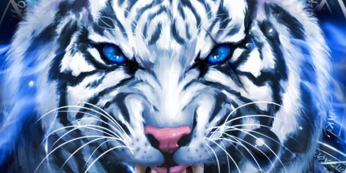 720x1280 Tiger Wallpaper - Wallpaper Sun