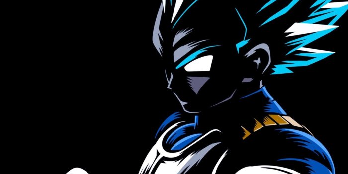 1429x2560 Vegeta HD Wallpaper - Wallpapers For Tech - Anime Wallpaper