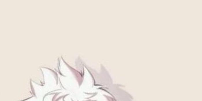 719x1334 Killua Aesthetic Wallpapers