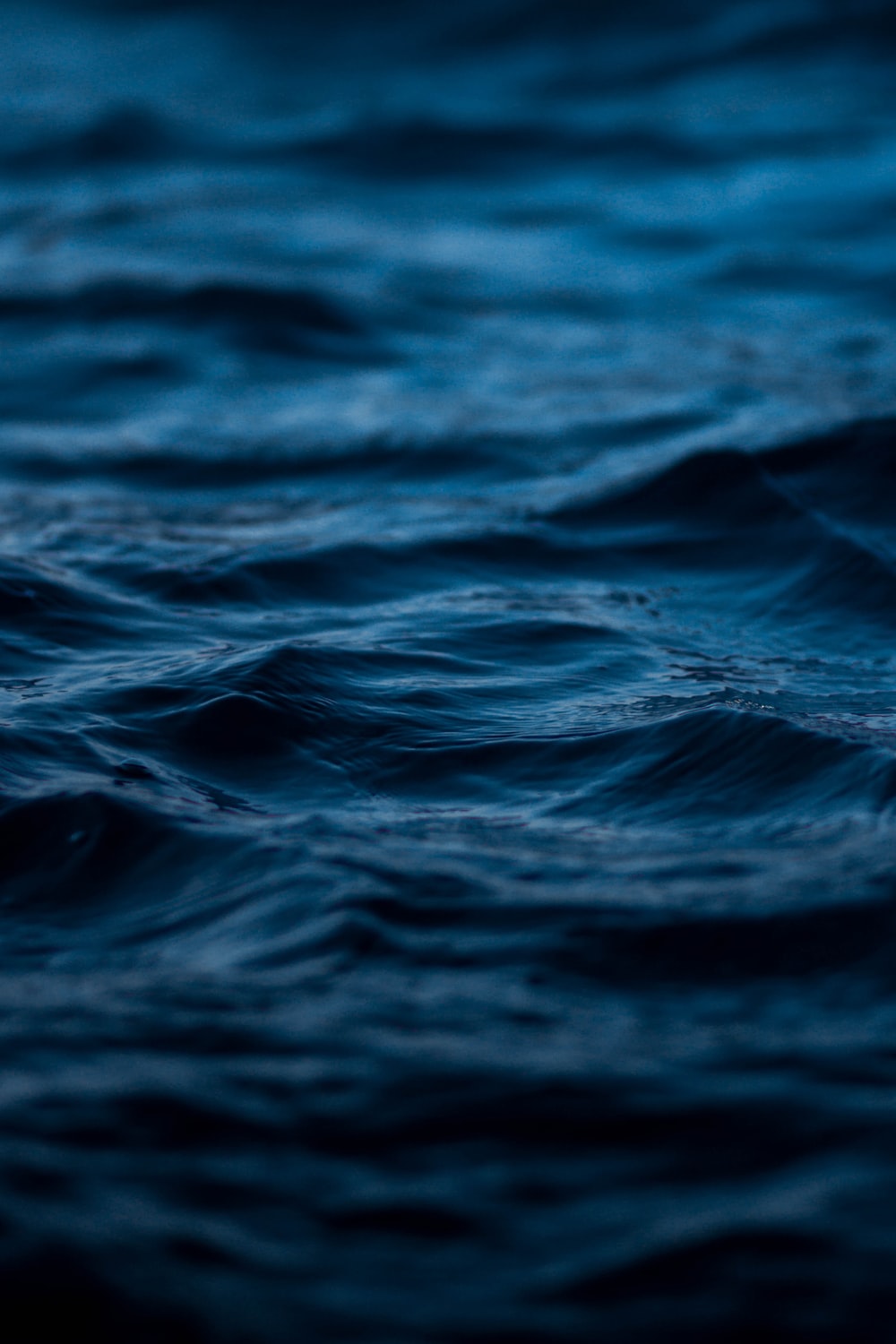 1000x1500 500+ Dark Blue Pictures | Download Free Images on Unsplash
