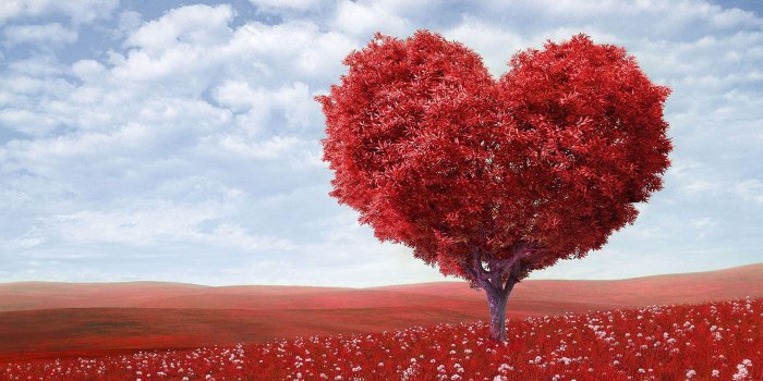 1920x1200 Best Heart Wallpapers