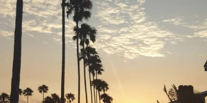 768x1280 Chill Wallpapers