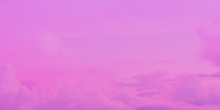 1152x2048 58+ Pink and Purple Ombre