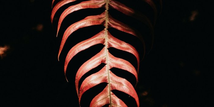 1000x1500 Chill Wallpapers: Free HD Download [500+ HQ] | Unsplash