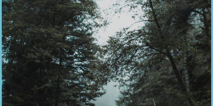 834x1806 Chill IPhone Wallpapers - Top Free Chill IPhone Backgrounds - Chill  Wallpapers For Iphone | Neat