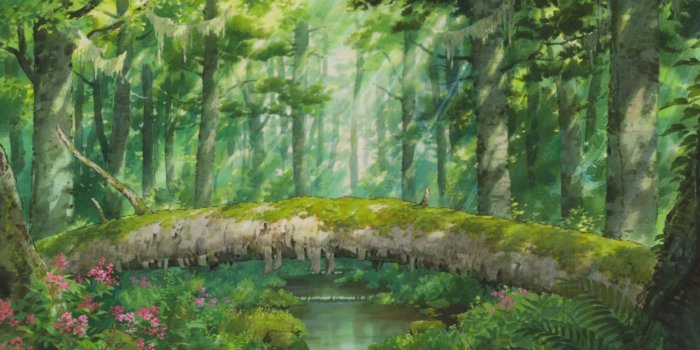 1536x864 Free download Studio Ghibli HD Backgrounds Wallpapercraft [1920x1038] for  your Desktop, Mobile & Tablet | Explore 76+ Ghibli Wallpapers | Studio Ghibli  Wallpapers,