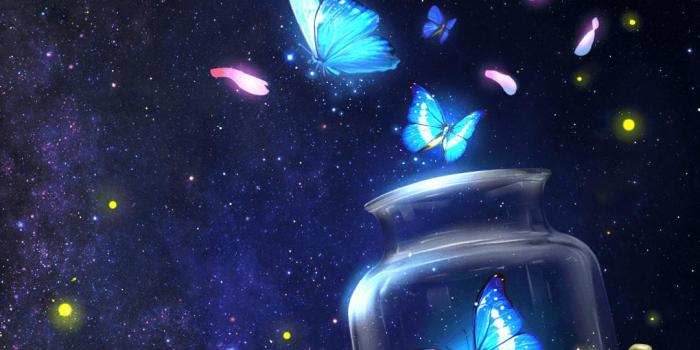 1080x1920 Android Animation Wallpapers