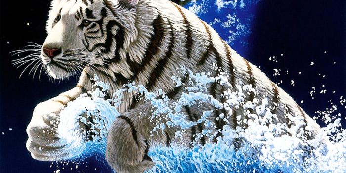 1024x768 wallpaper: Animated Wallpapers